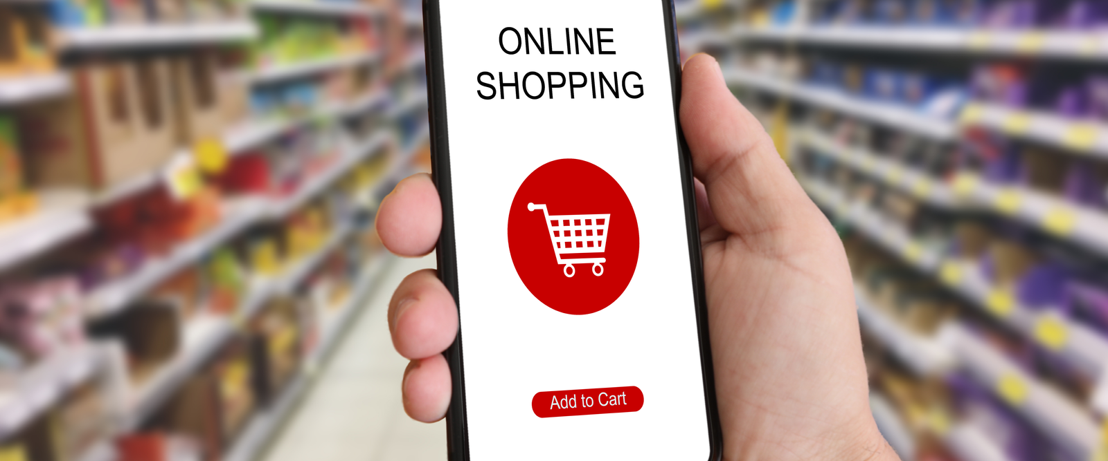 Ecommerce Mobile App Development with payments and push notifications